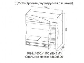 ДМ-16 Кровать двухъярусная с ящиком в Дегтярске - degtyarsk.magazin-mebel74.ru | фото