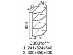 С300то Стол-рабочий 300 (торцевой открытый) в Дегтярске - degtyarsk.magazin-mebel74.ru | фото