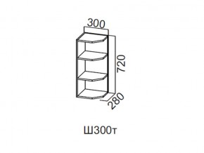 Ш300т/720 Шкаф навесной 300/720 (торцевой) в Дегтярске - degtyarsk.magazin-mebel74.ru | фото