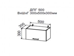Шкаф верхний ДПГ500 горизонтальный в Дегтярске - degtyarsk.magazin-mebel74.ru | фото